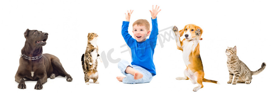 动物和人类摄影照片_组的宠物和开朗的男孩