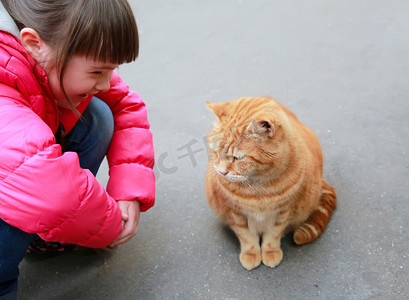 在享受的猫摄影照片_女孩在大街上讲与猫