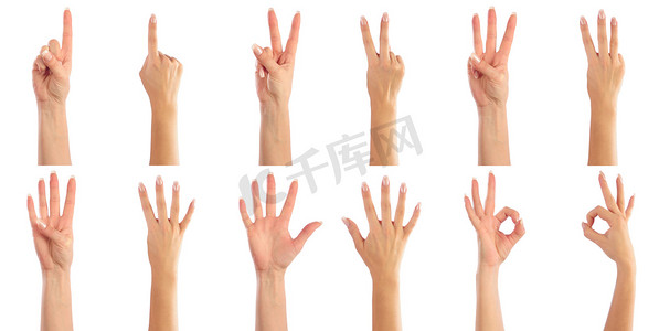 fingers摄影照片_Female hands counting