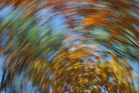 旋流摄影照片_秋天的叶子旋流