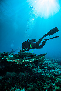 水肺潜水的潜水员 kapoposang 苏拉威西印度尼西亚水下