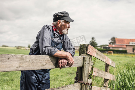 Elderly farmer leaning on paddock fence