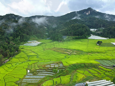 泰国清迈多伊安塔农国家公园的稻田鸟瞰 