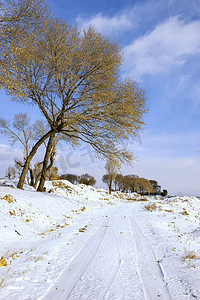 大寒素材摄影照片_雪景郊外上午雪地入冬素材摄影图配图
