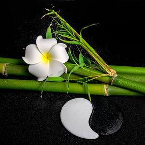 白色的鸡蛋花，象征阴阳和自然的水疗中心设置