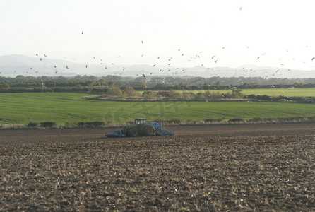拖拉机的人摄影照片_苏格兰贝里克郡的农业用地