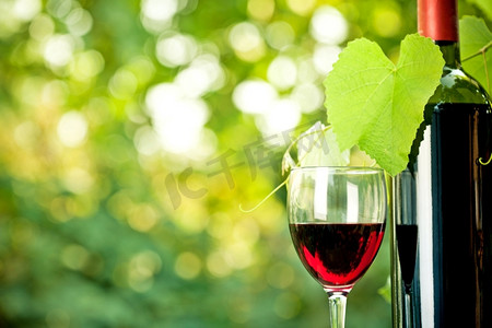 红酒瓶红酒杯摄影照片_红酒瓶，一个玻璃杯和小葡萄树衬托着自然的春天