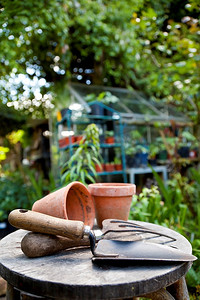园艺用具和花车是放在绿色花园的凳子上的花盆，背景是一个模糊的温室