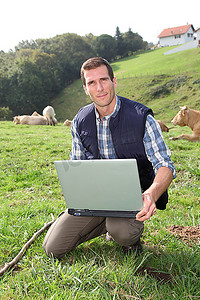 饲养员拿着笔记本电脑坐在牛场里