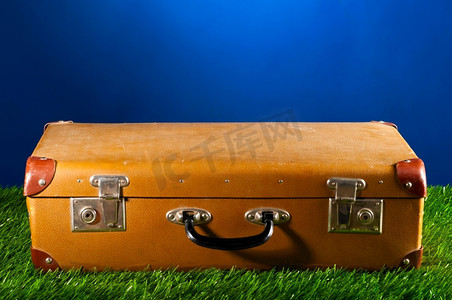 草地上的旧行李箱，旅行的概念