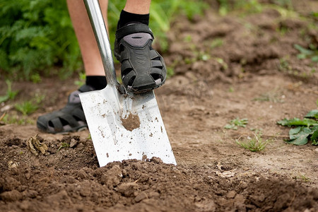 园丁-只有脚可以看到-挖掘土壤在春天用铁锹使花园准备