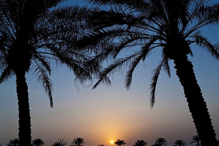 热带天堂里棕榈树环绕的日落。