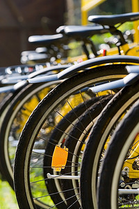 一排黄色自行车
