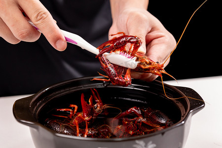 刷小龙虾摄影照片_清洗洗刷小龙虾生鲜食材摄影图配图