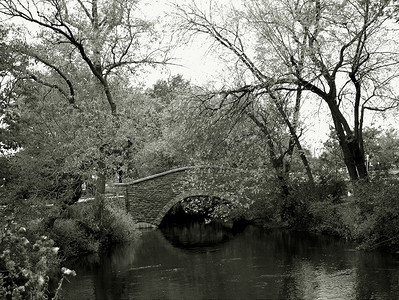 小溪上的石桥。