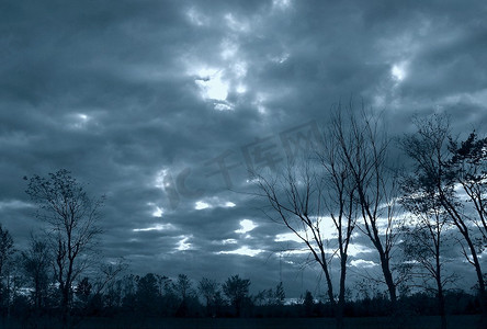 忧郁摄影照片_有剪影的树的忧郁秋天天空。