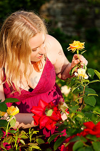 玫瑰花里的女人摄影照片_在阳光明媚的日子里做园艺工作的妇女剪玫瑰