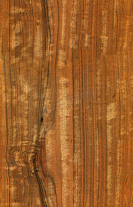 木材质地摄影照片_桉木质地