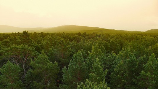 安静的环境摄影照片_森林景观逐渐消失在雾蒙蒙的山丘上。