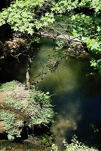 横穿摄影照片_热带森林中一座横跨一个小湖的小木桥