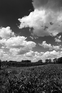 白带摄影照片_黑白带着厚重云彩的田野