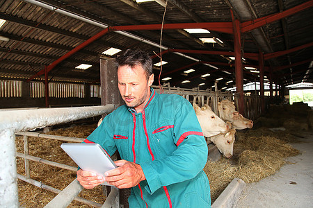 谷仓里的农民使用电子平板电脑