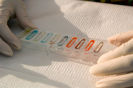 实验室技术人员正在做血型实验。
