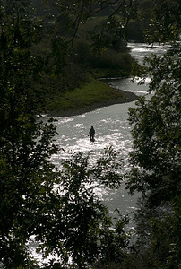 u站摄影照片_一名男子站在苏格兰贝里克郡的河里钓鱼