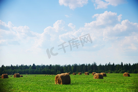 蓝天绿地背景摄影照片_蓝天下的绿地