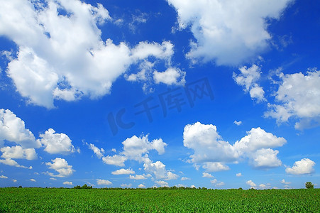 夏日乡村风光--绿野蓝天