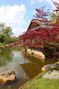 文化墙党的历程摄影照片_日本庭园中的临水建筑