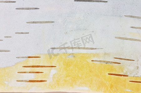 白桦树的天然树皮，背景特写
