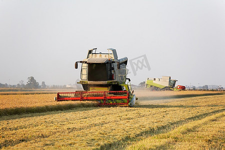 收获日摄影照片_现代联合收割机在稻田收获时，皮埃蒙特，意大利。
