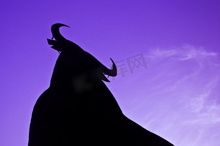 一头公牛的剪影映衬着紫色的天空