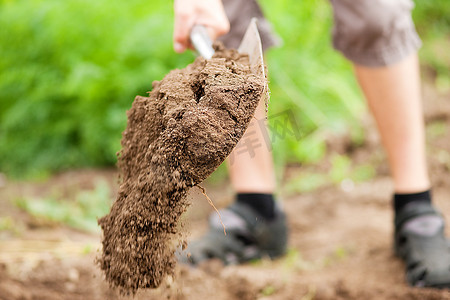 做好准备摄影照片_只有园丁才能看到脚-春天用铁锹挖土，为花园做好准备