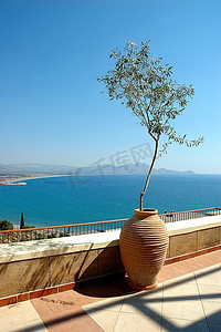 大阳台摄影照片_大花瓶里的小树；在背景海景中