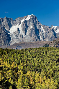 山地景观：高山(大千山峰、勃朗峰、意大利阿尔卑斯山)上方的落叶松树林，垂直框架，秋季。