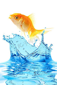 鱼儿跃出水面摄影照片_金色的小鱼跃出水面