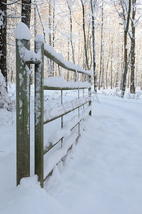 白雪覆盖的林地小路