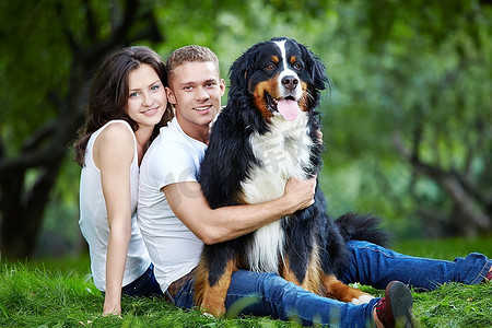 公园的草地上,一对年轻夫妇牵着一只狗伯恩山犬瑞士犬