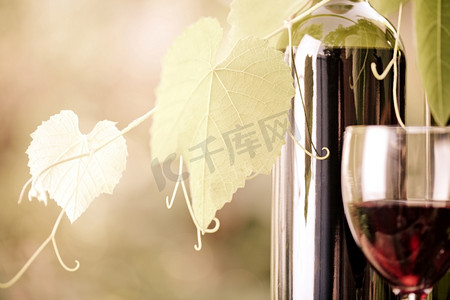 红酒瓶，葡萄藤和玻璃杯衬托葡萄园。复古造型