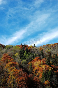 初秋时阿尔卑斯山的变色；意大利。