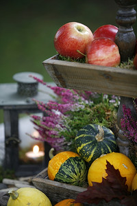 水果、蔬菜和灯笼