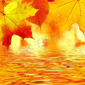 秋叶飘过水面..。