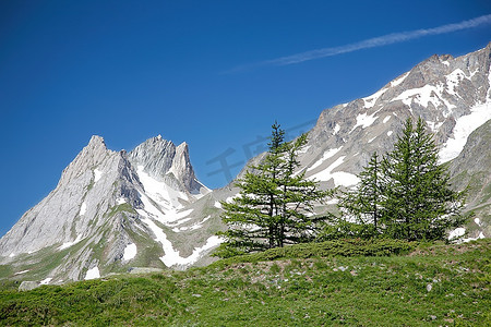 勃朗峰摄影照片_法国勃朗峰的松树和积雪的山峰。