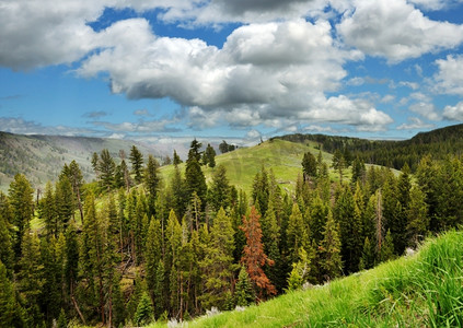 夏天美丽的山景风景自然风景