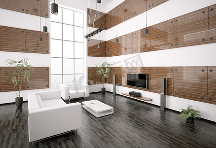 客厅采用乌木木板，室内3D渲染