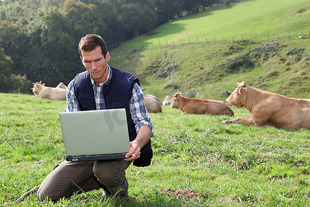 饲养员拿着笔记本电脑坐在牛场里