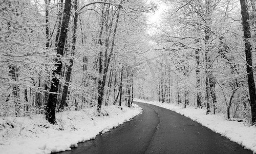 下雪路摄影照片_路径，路，日内瓦，瑞士