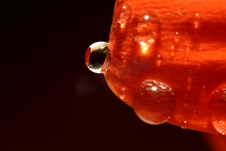花散乱摄影照片_花红花上的巨型水滴